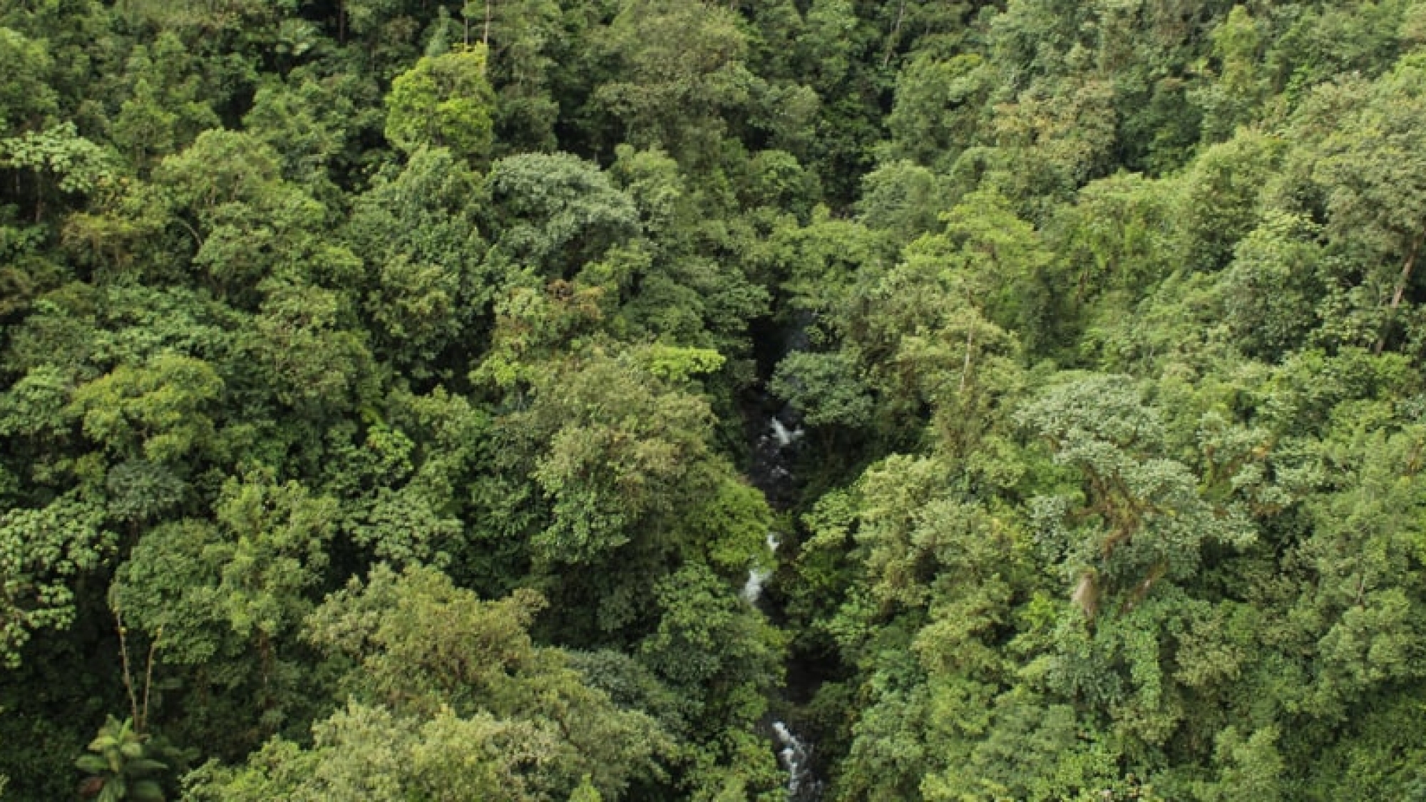 mindo-ecuador-4-1-min