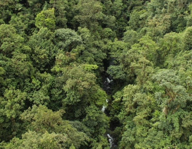 mindo-ecuador-4-1-min