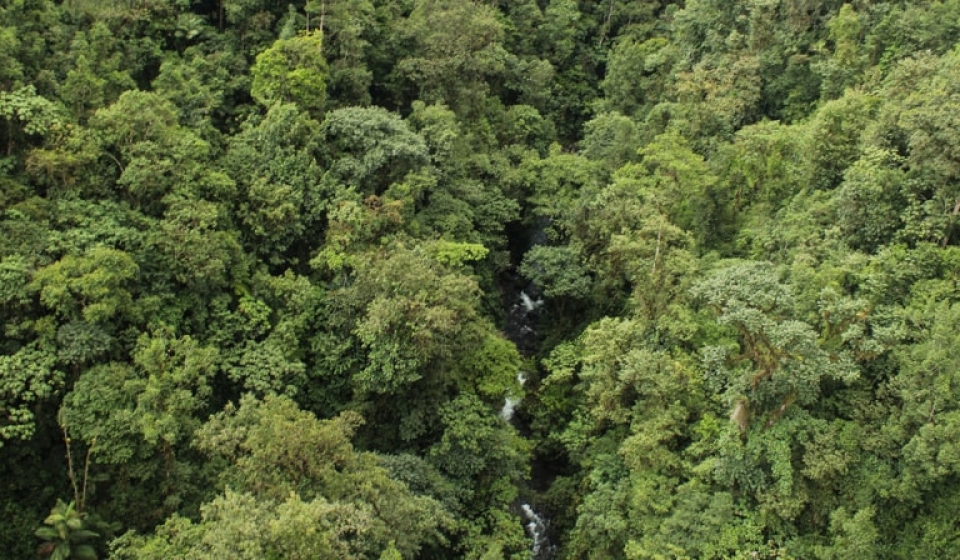 mindo-ecuador-4-1-min