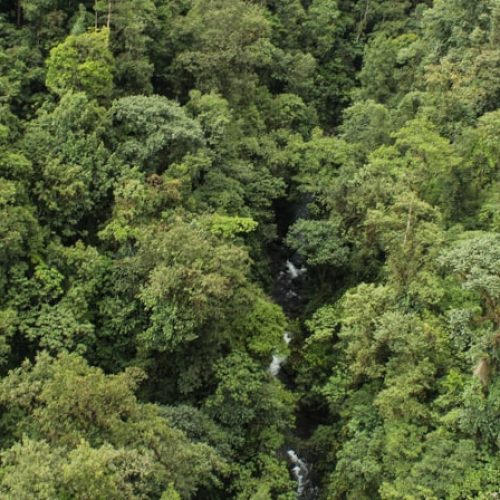 mindo-ecuador-4-1-min
